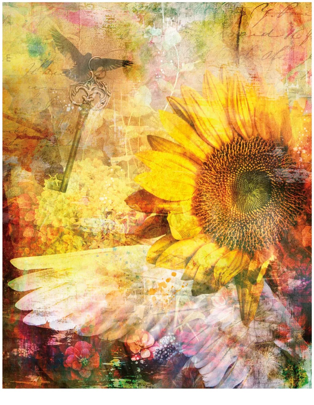 Wings of Light