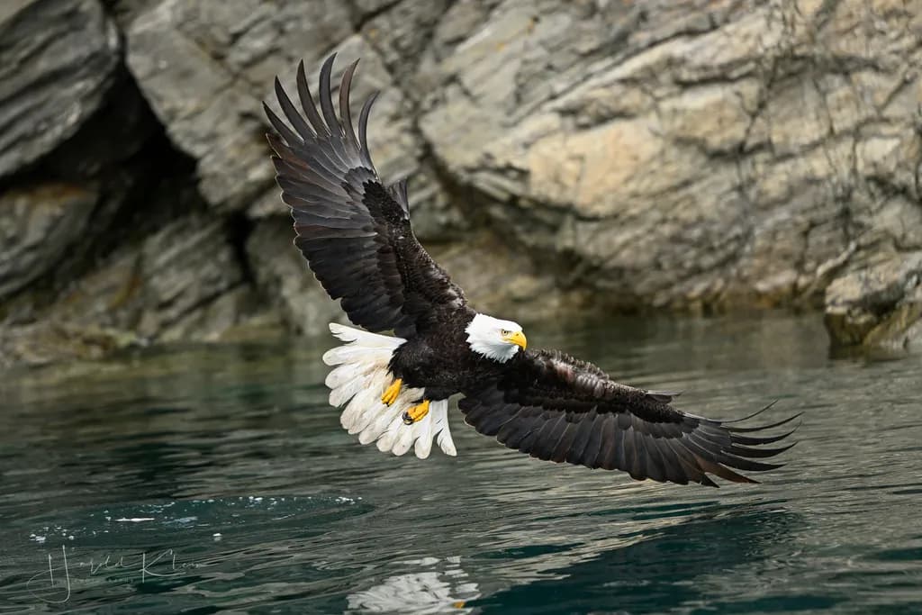 Majestic Flight