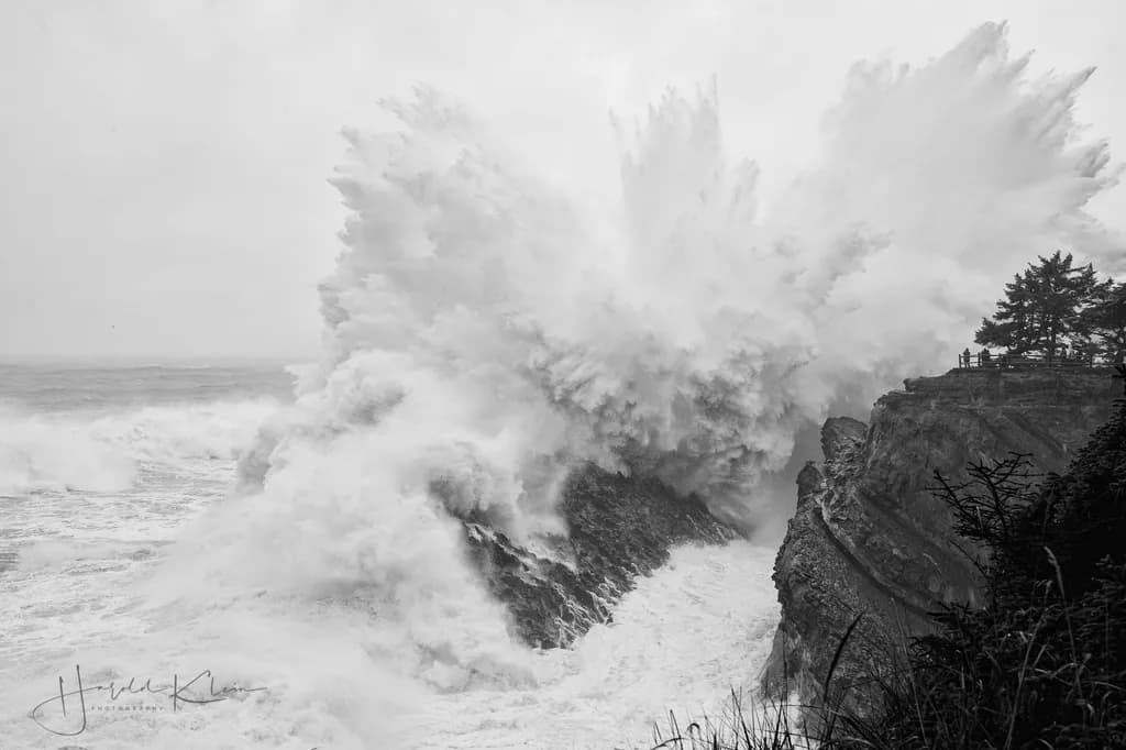 Shore Acres Waves