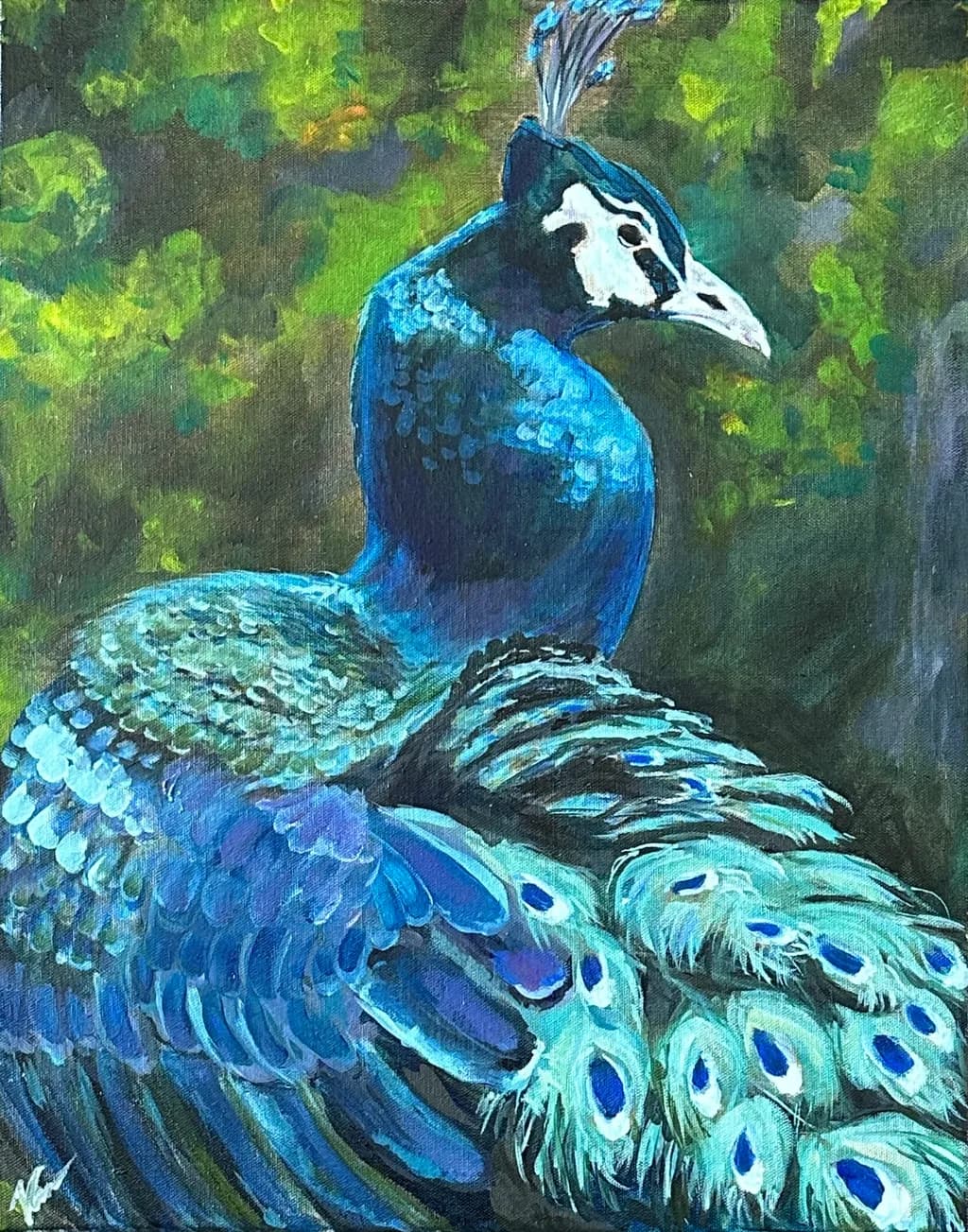 Mr Peacock