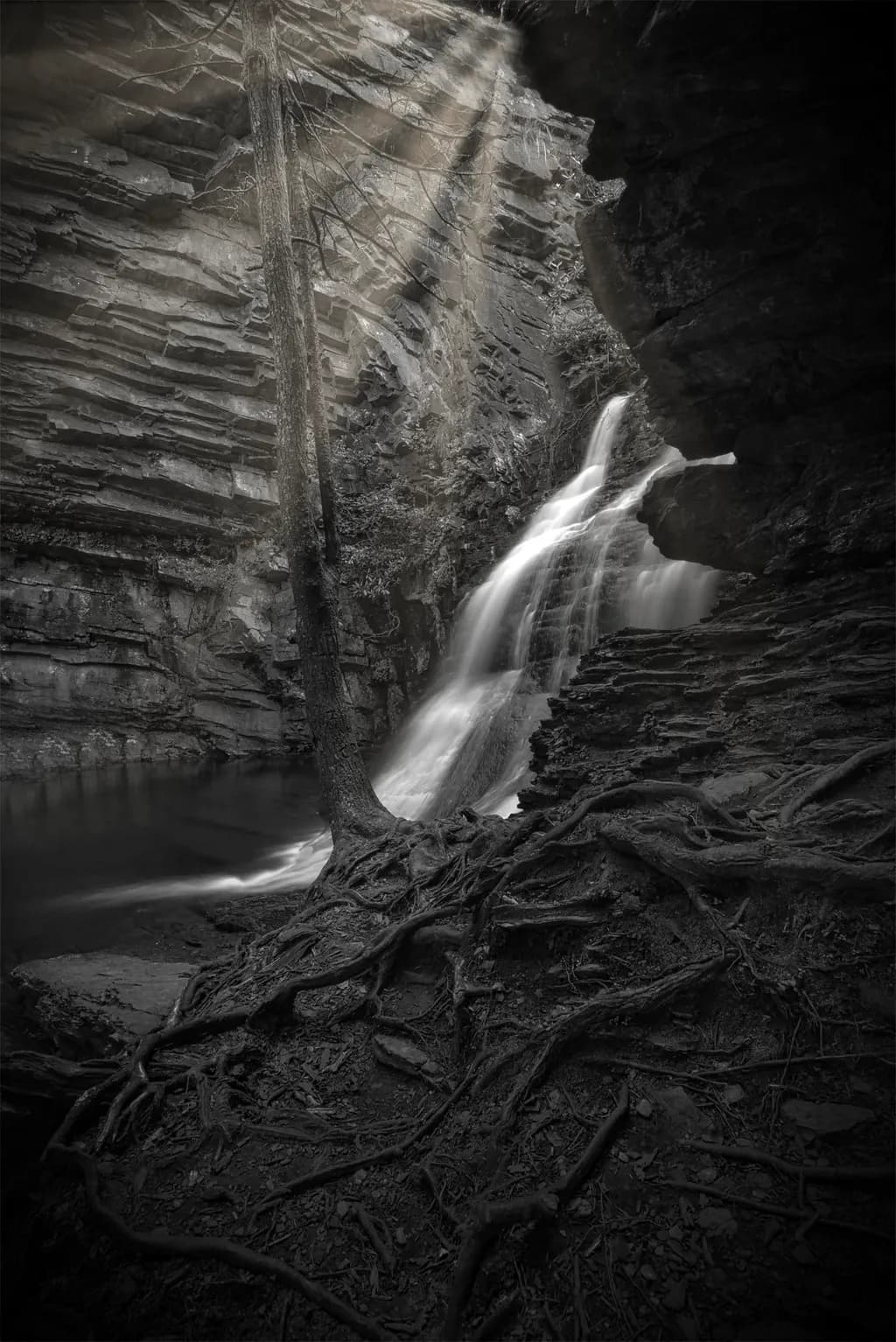Rooted Cascade