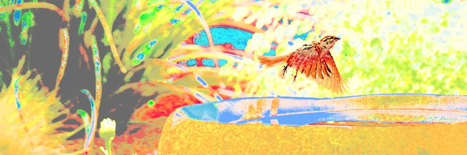 Profile banner