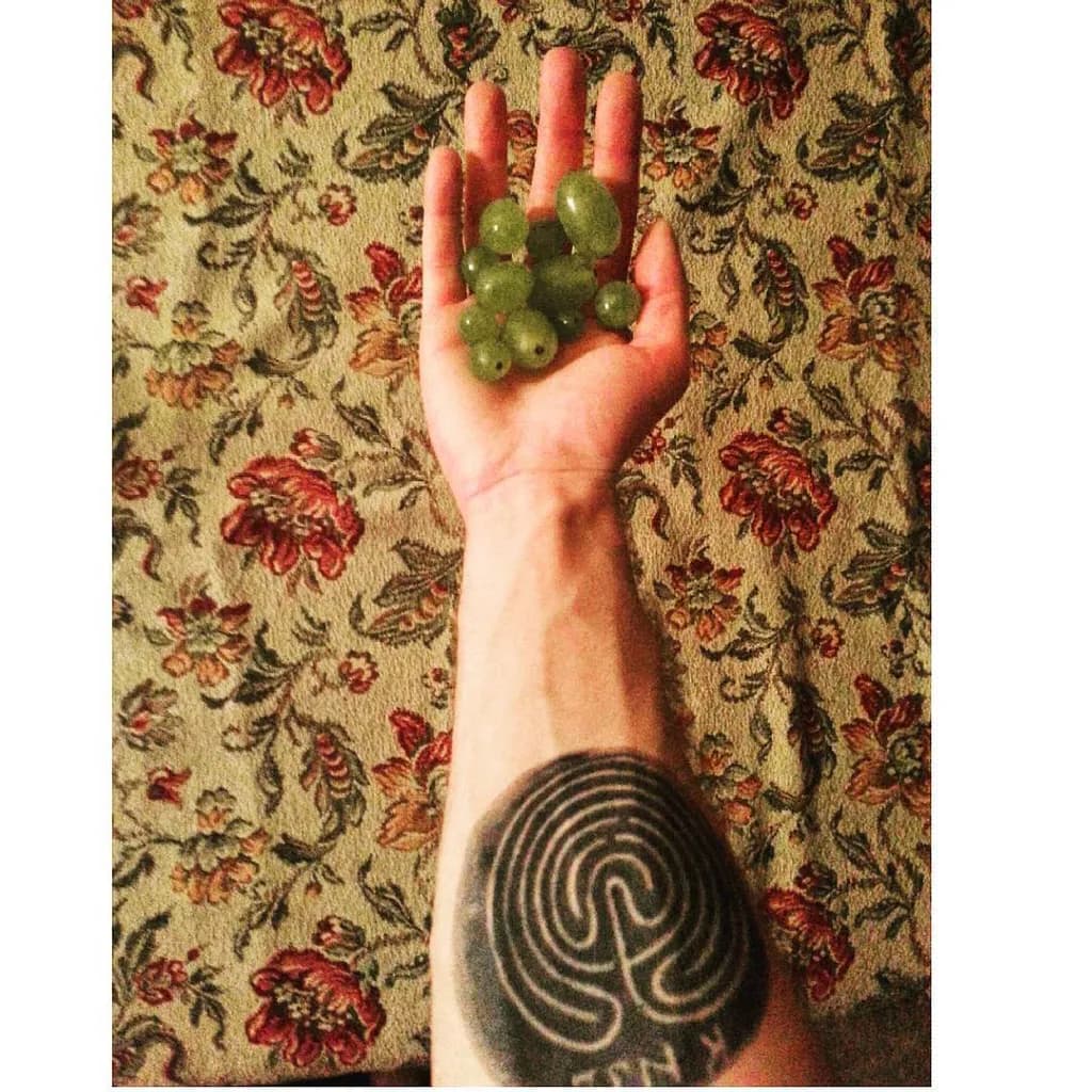 Labyrinth Palm