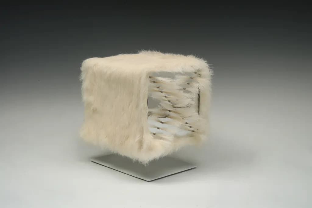 Rabbit Cube