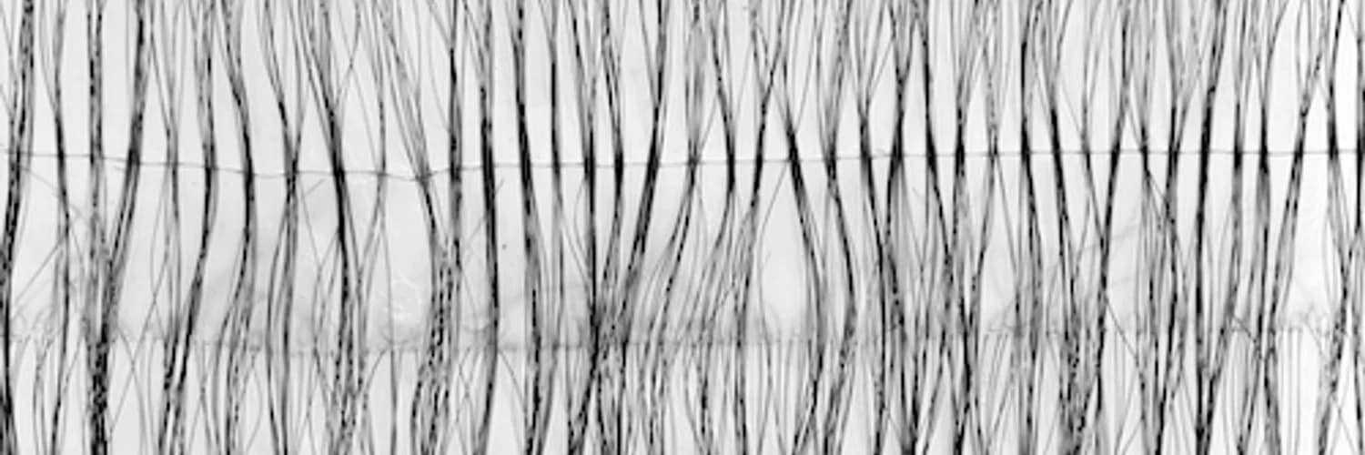 Profilbanner