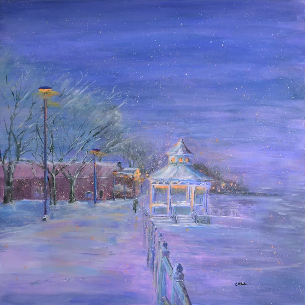 Winter Night Walk