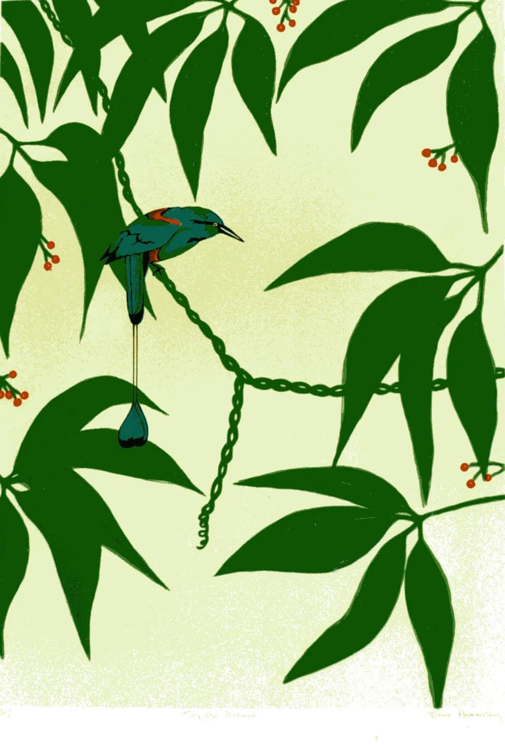 Turquoise Motmot