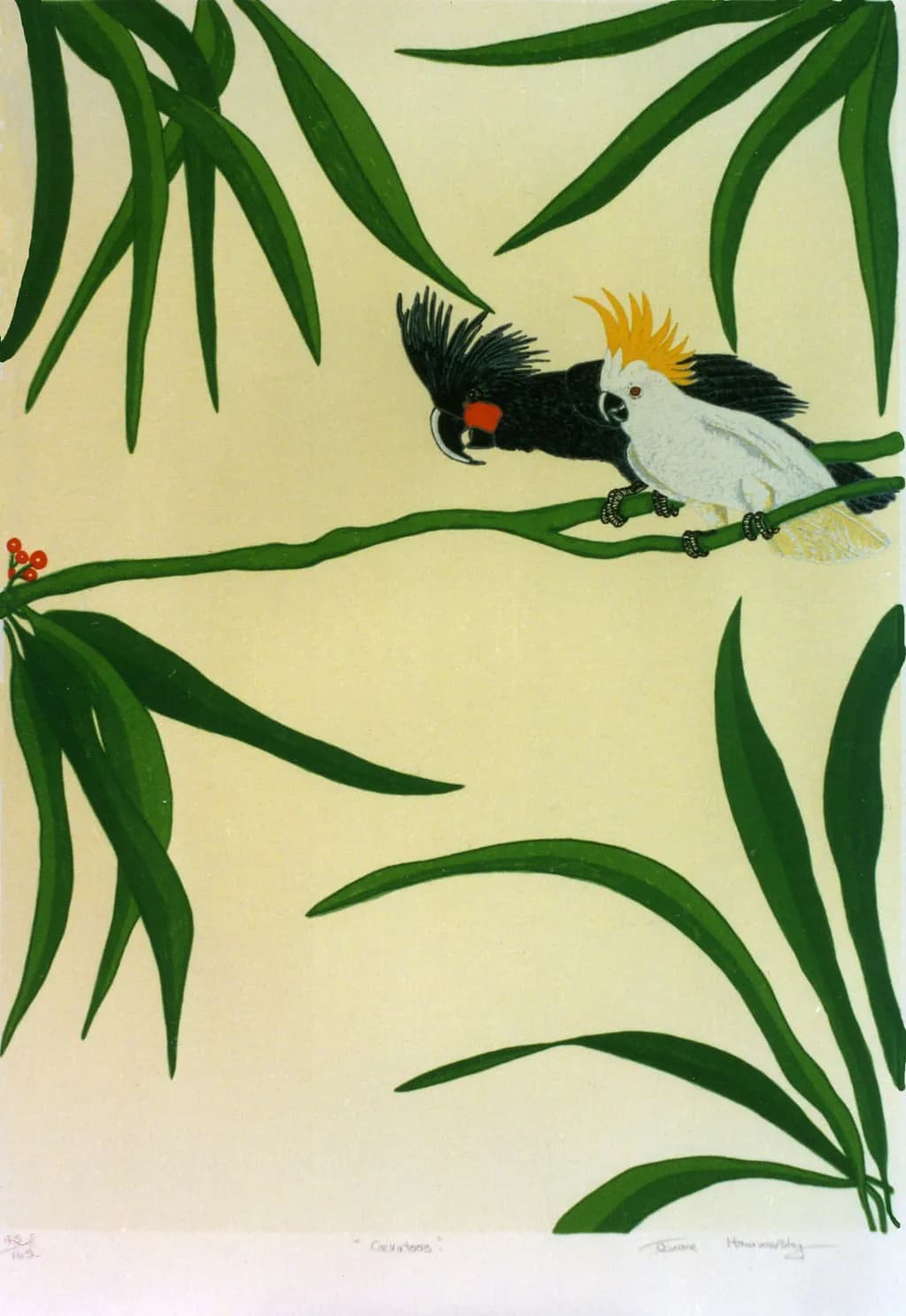 Cockatoos on Branch