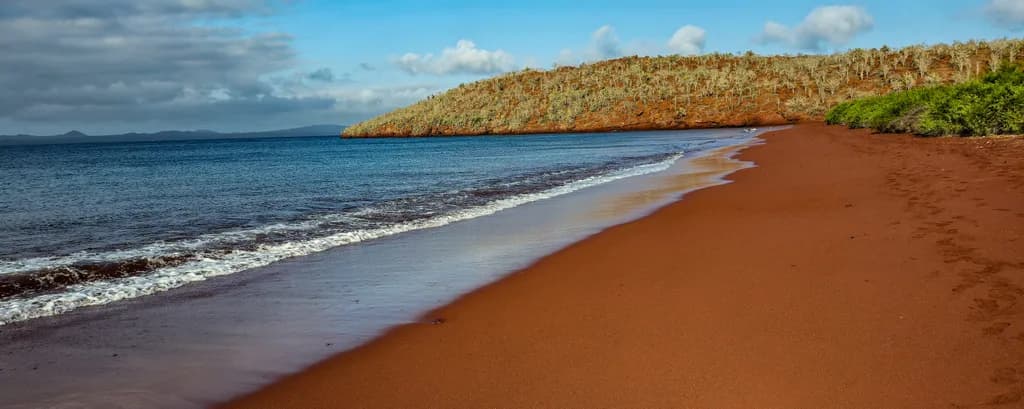 Red Sand Shoreline
