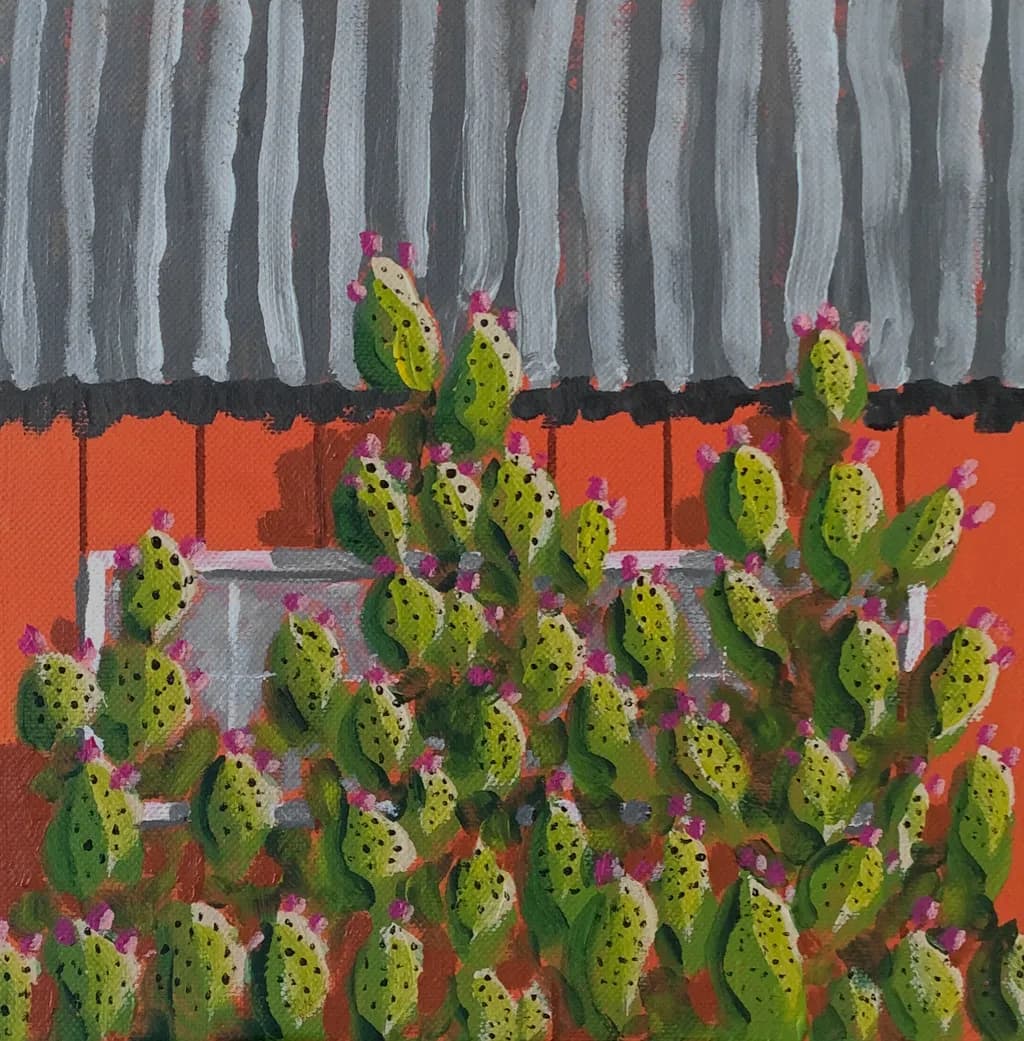 Cactus Serenade