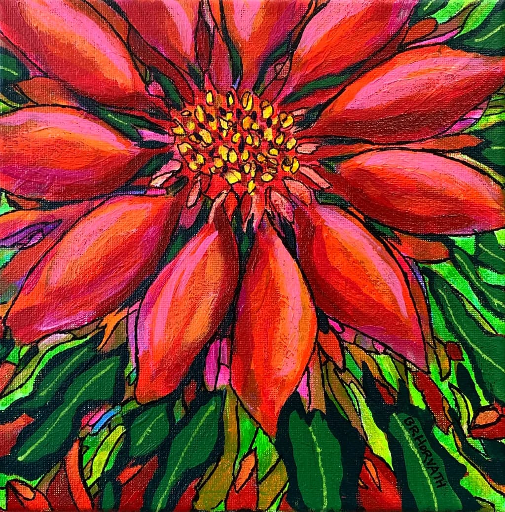 Yuletide Bloom in All Its Splendor