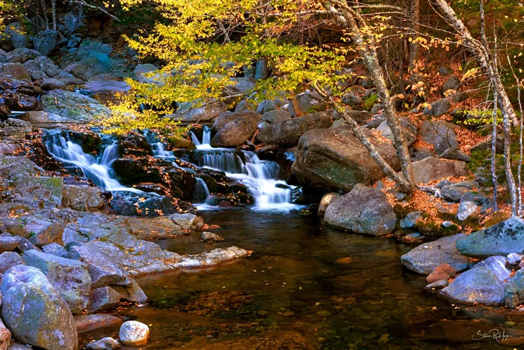 Whispers of Autumn: A Serene Stream in Golden Hues