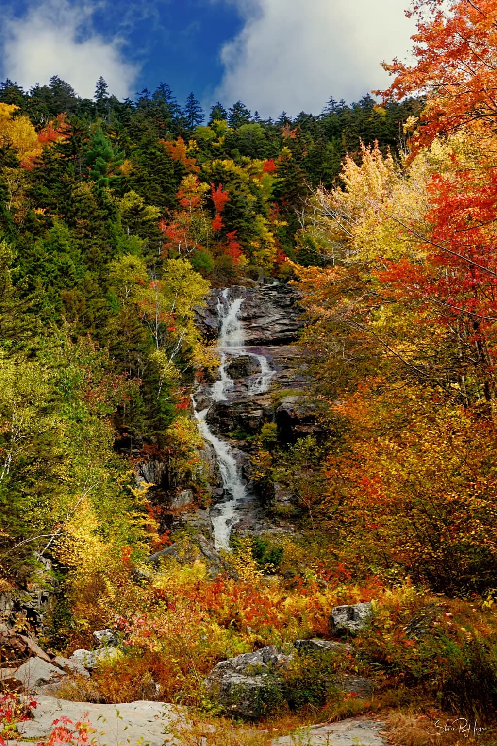 Autumn's Cascade: A Serene Waterfall Amidst Vibrant Foliage