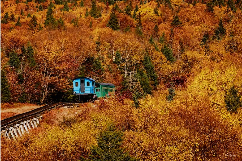 Autumn's Journey: A Vibrant Train Through Golden Forests