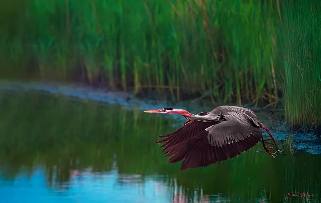 Leaving Nest