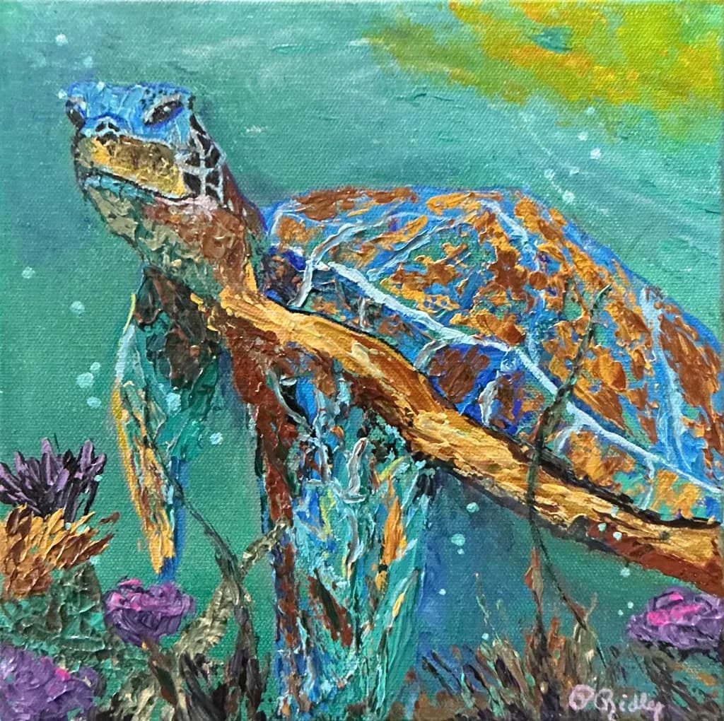 Coastal Critter