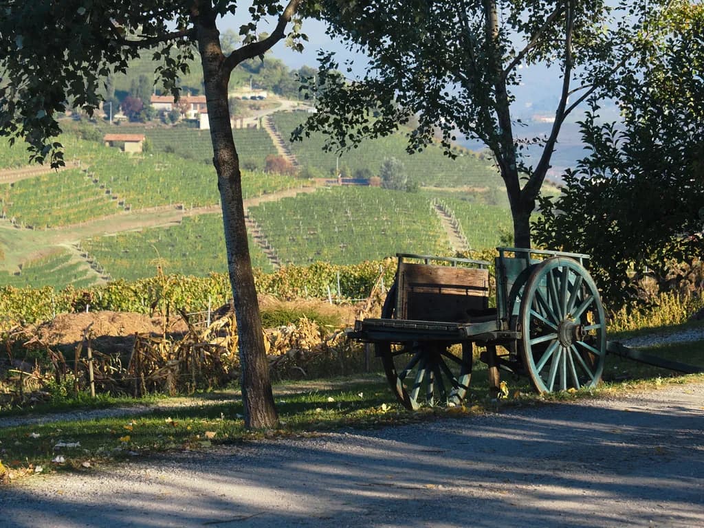 Vineyard Cart