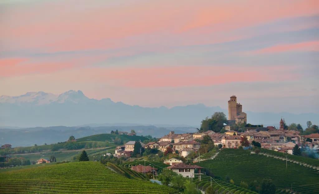 Twilight Over Vineyards