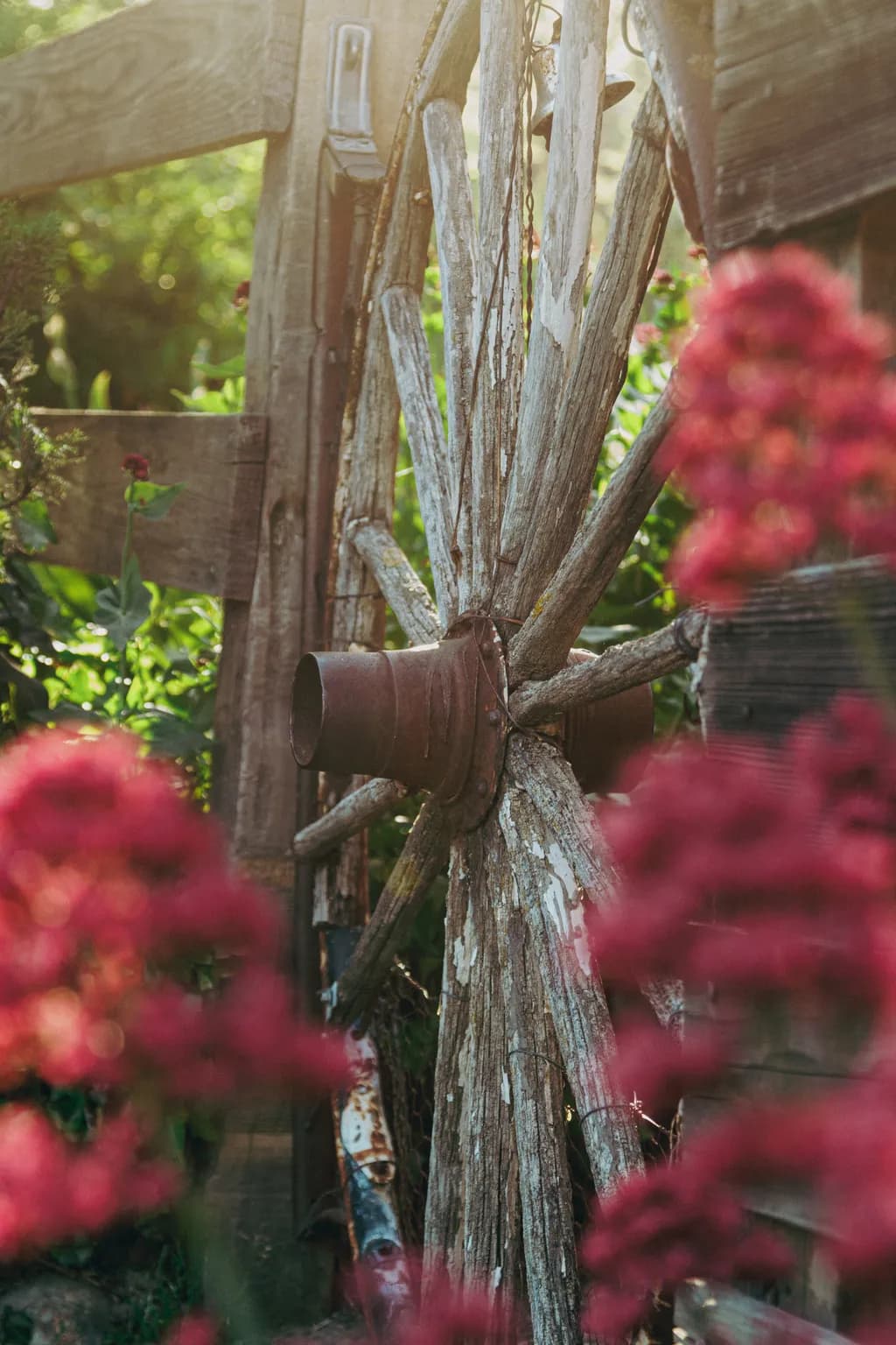 Pink Flowers and Wheel