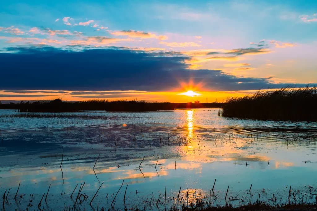Marshland Sunset Glow
