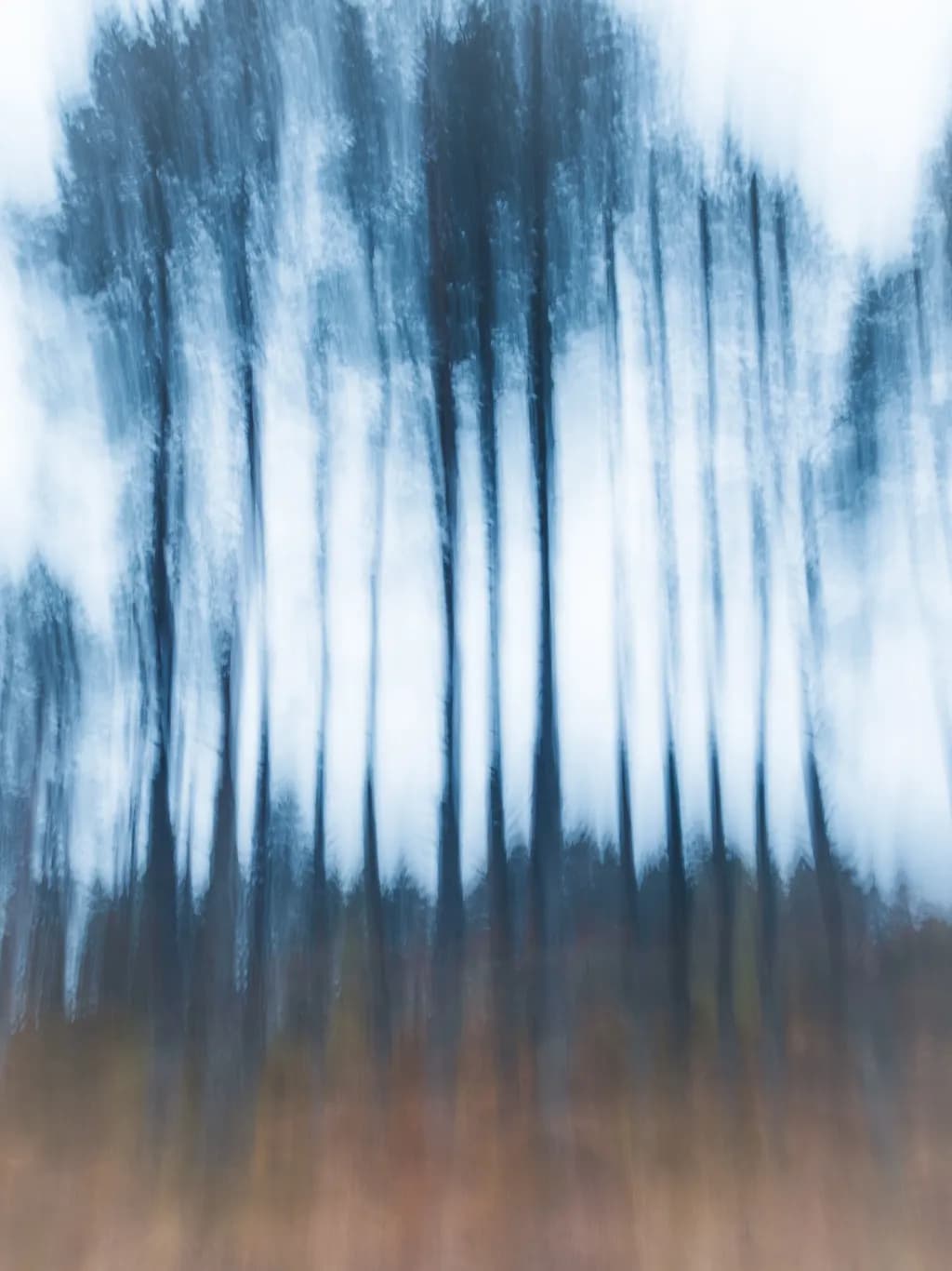 Whispers of the Ethereal Forest: A Blurred Journey Through Nature's Moodiness