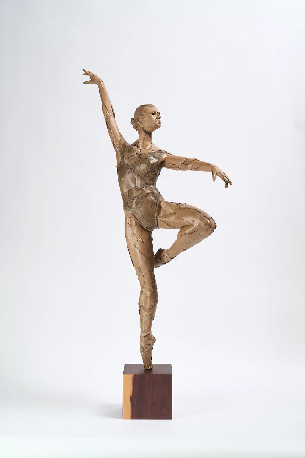 Cardboard Dancer