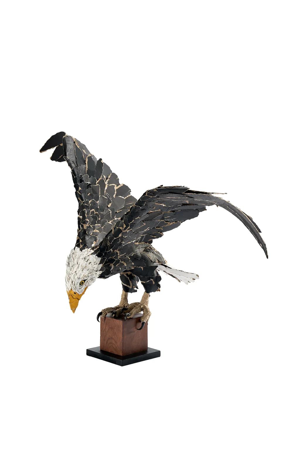 Soaring Vigilance