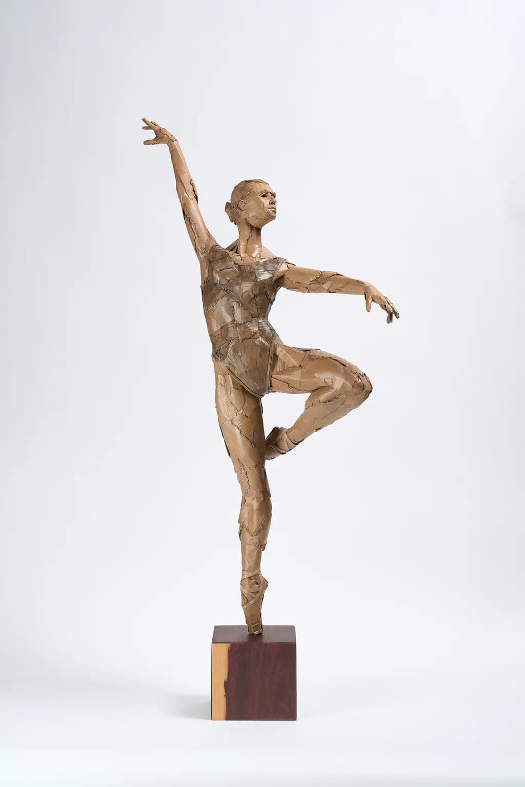 Grace in Motion: A Captivating Dance of Form and Texture in Sculpture