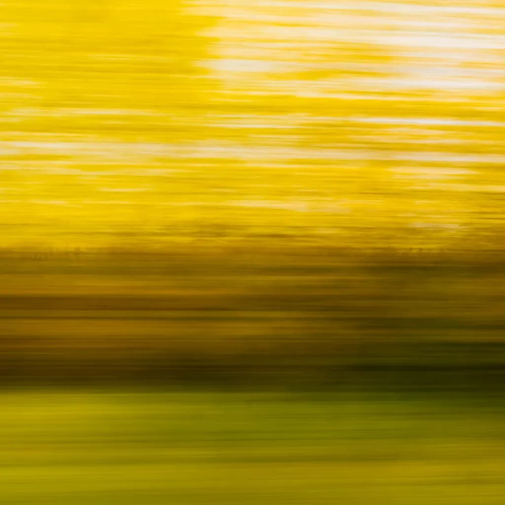 Golden Rush