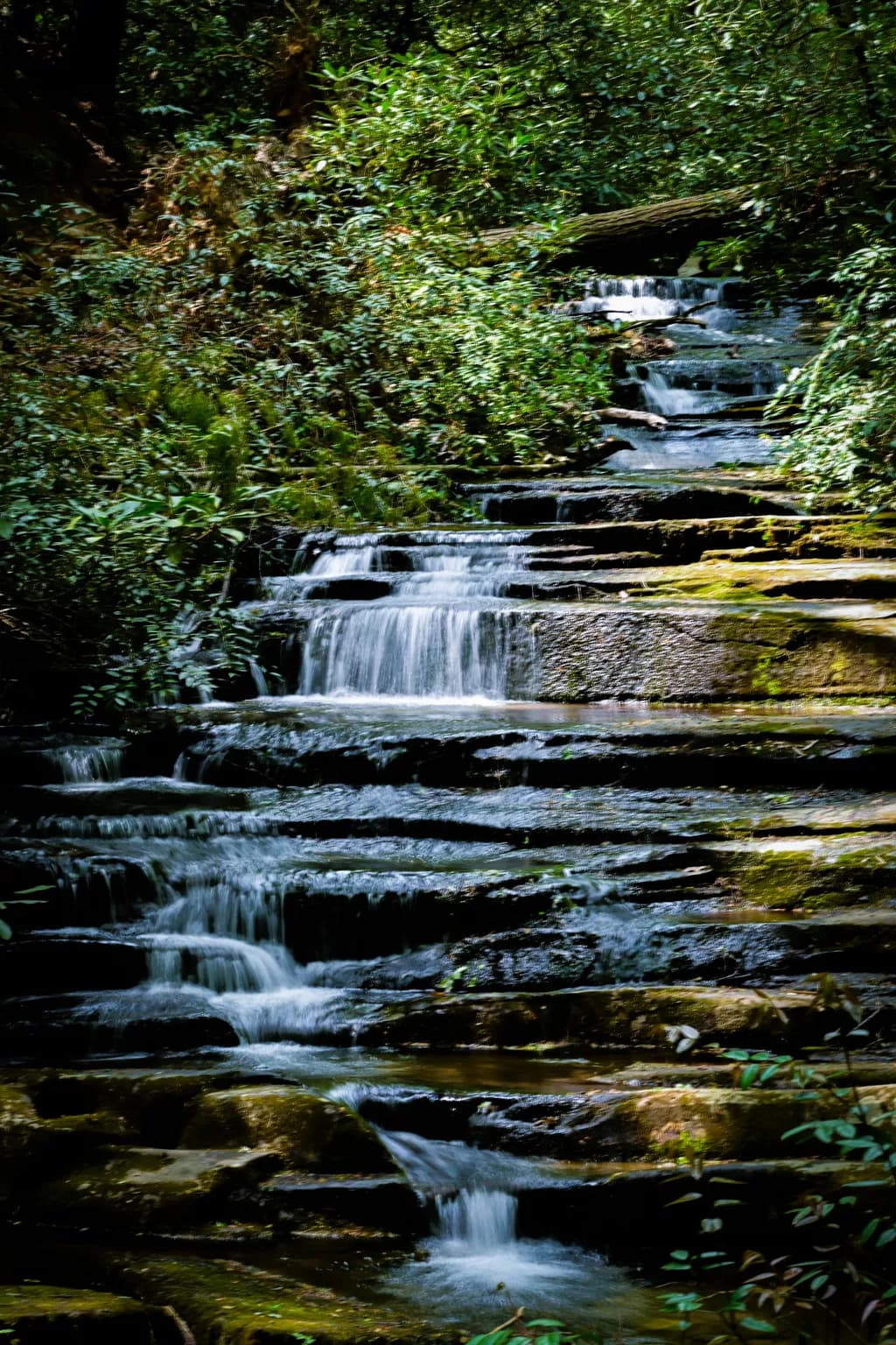 Panther Falls Cascade