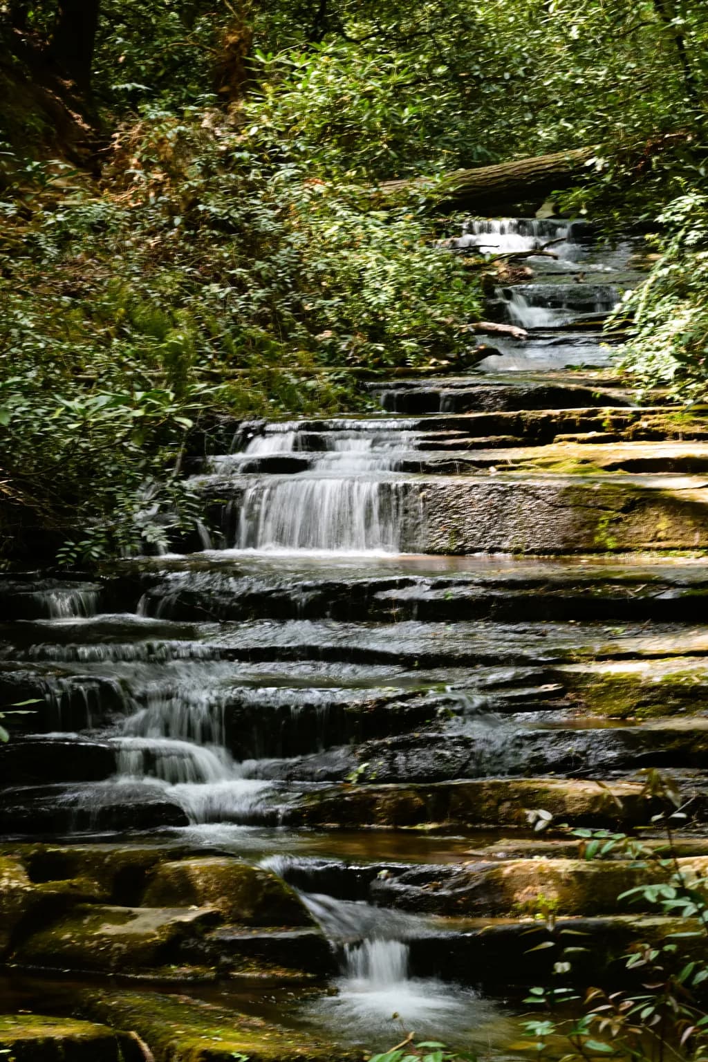 "Panther Falls"