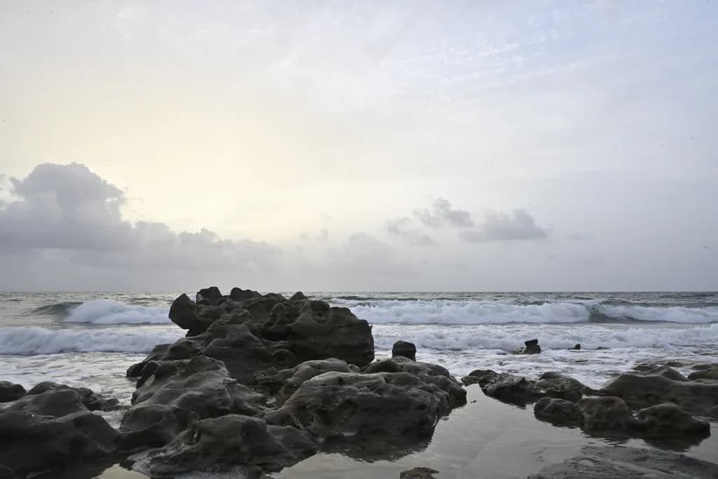 "Rocky Waves"