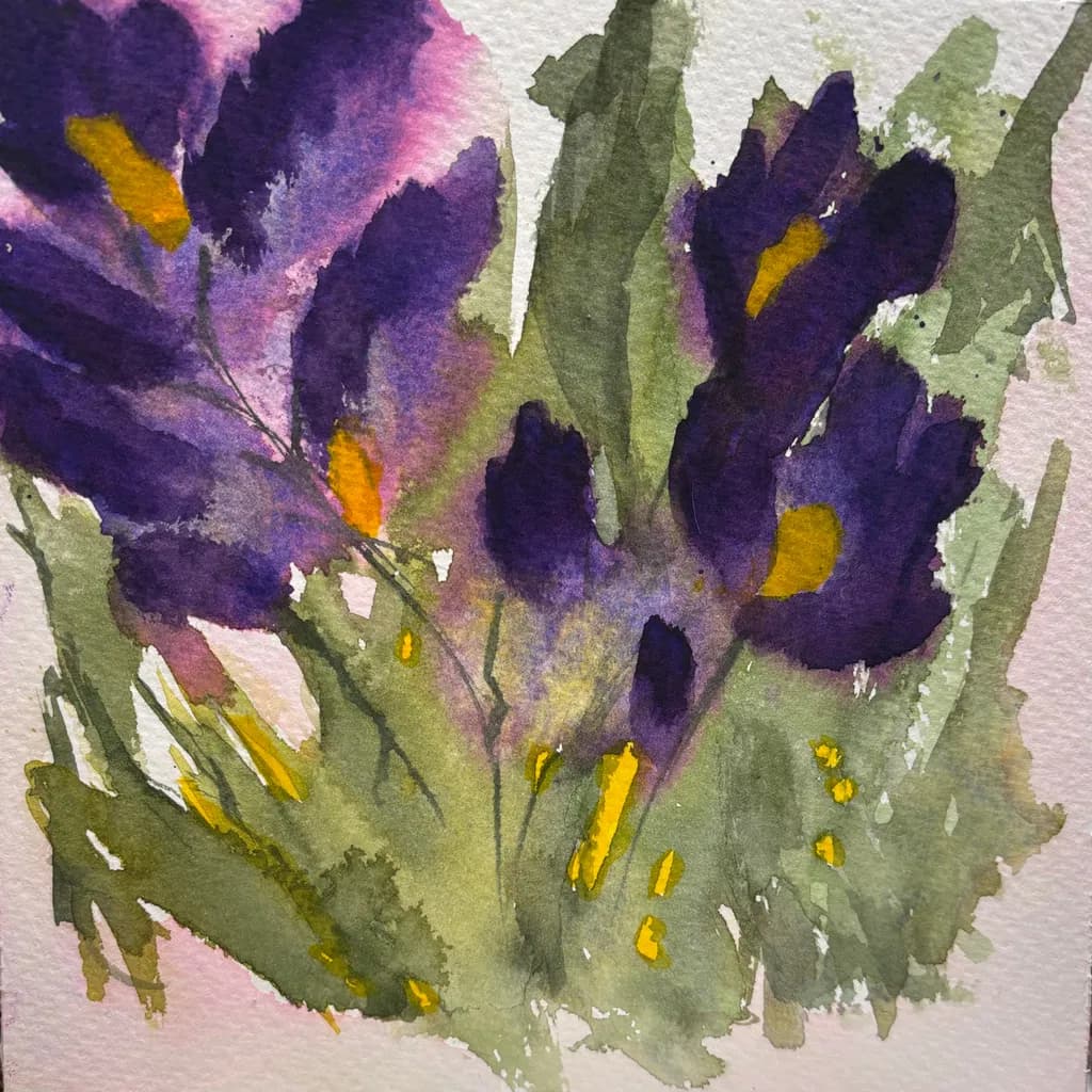 Crocus Blooms