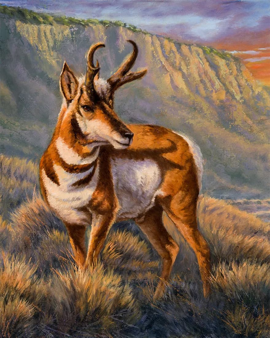 Whispers of the Prairie: A Majestic Antelope in Golden Light