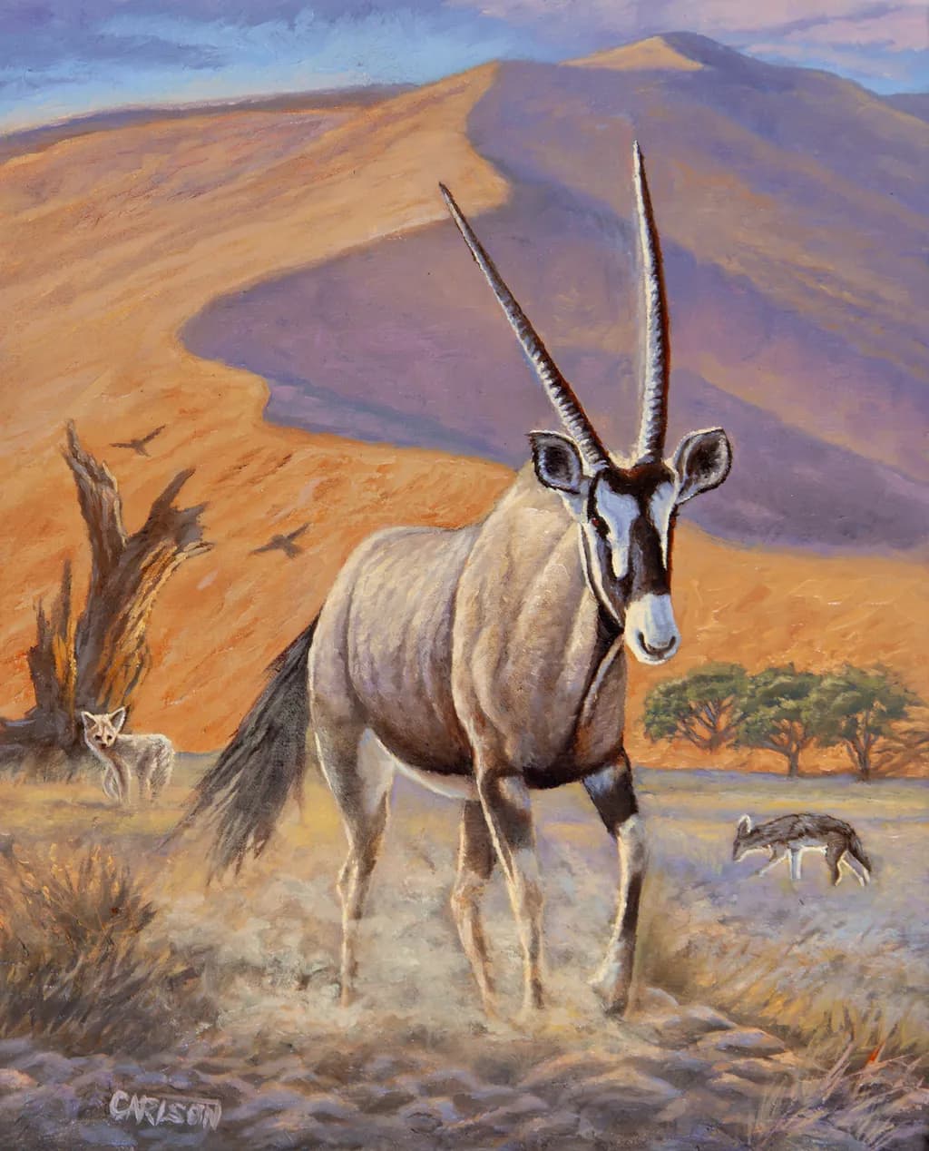 Desert Elegance