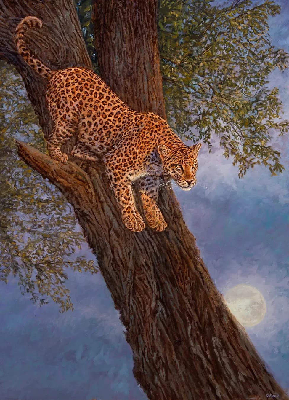 Leopard Moon