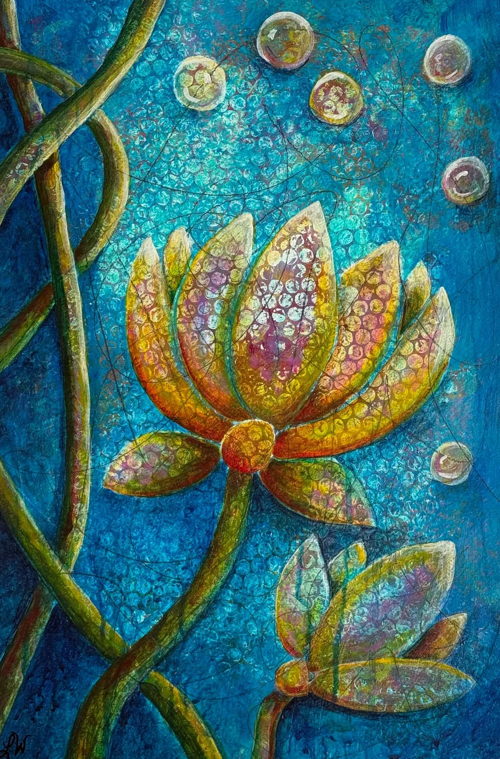 Lotus Rising
