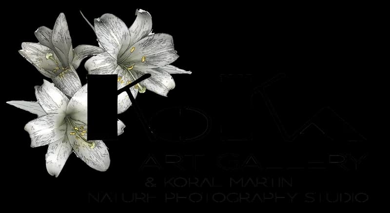 profile.resume-sections.gallery-logo-alt