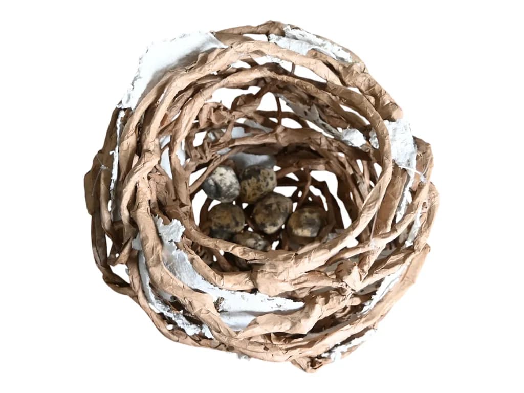 Nest with Quail Eggs