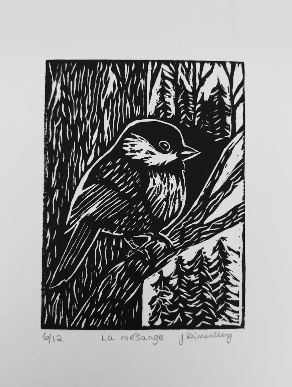 Forest Bird Perch