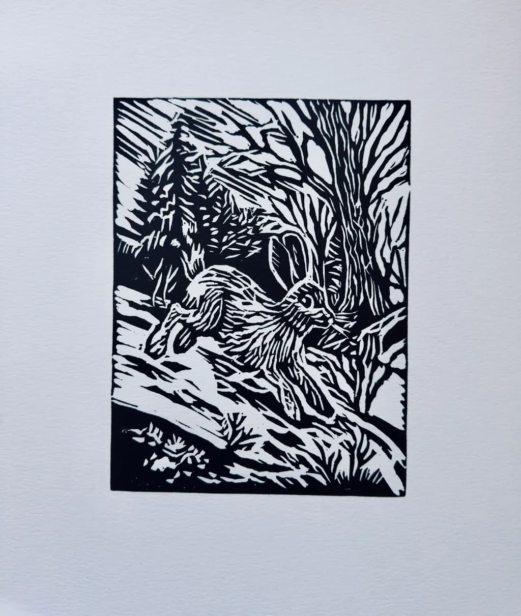 Forest Hare Rush