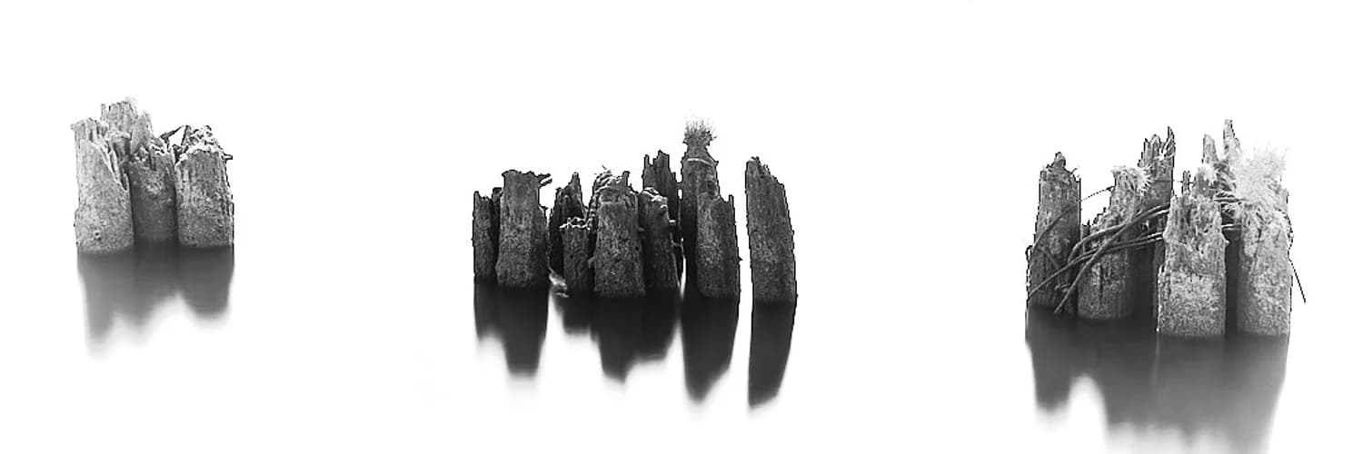 Banner del perfil
