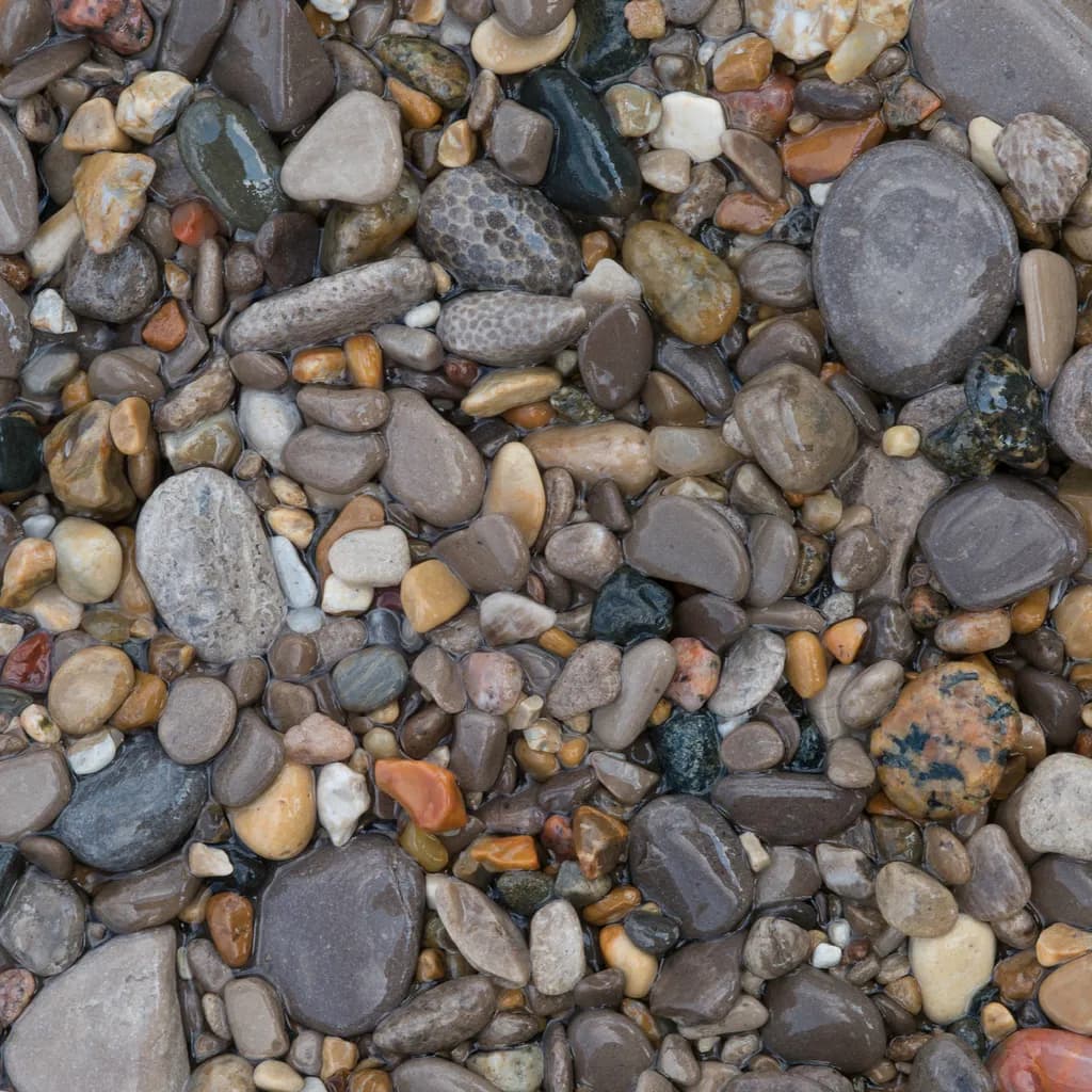 Petoskey Stones