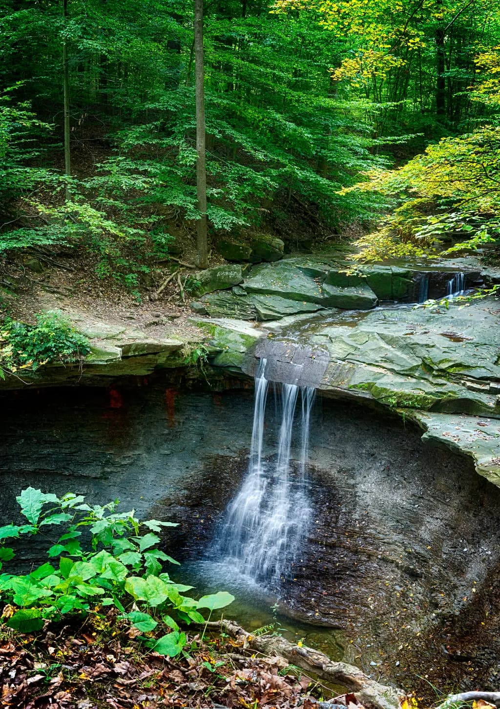 Blue Hen Falls