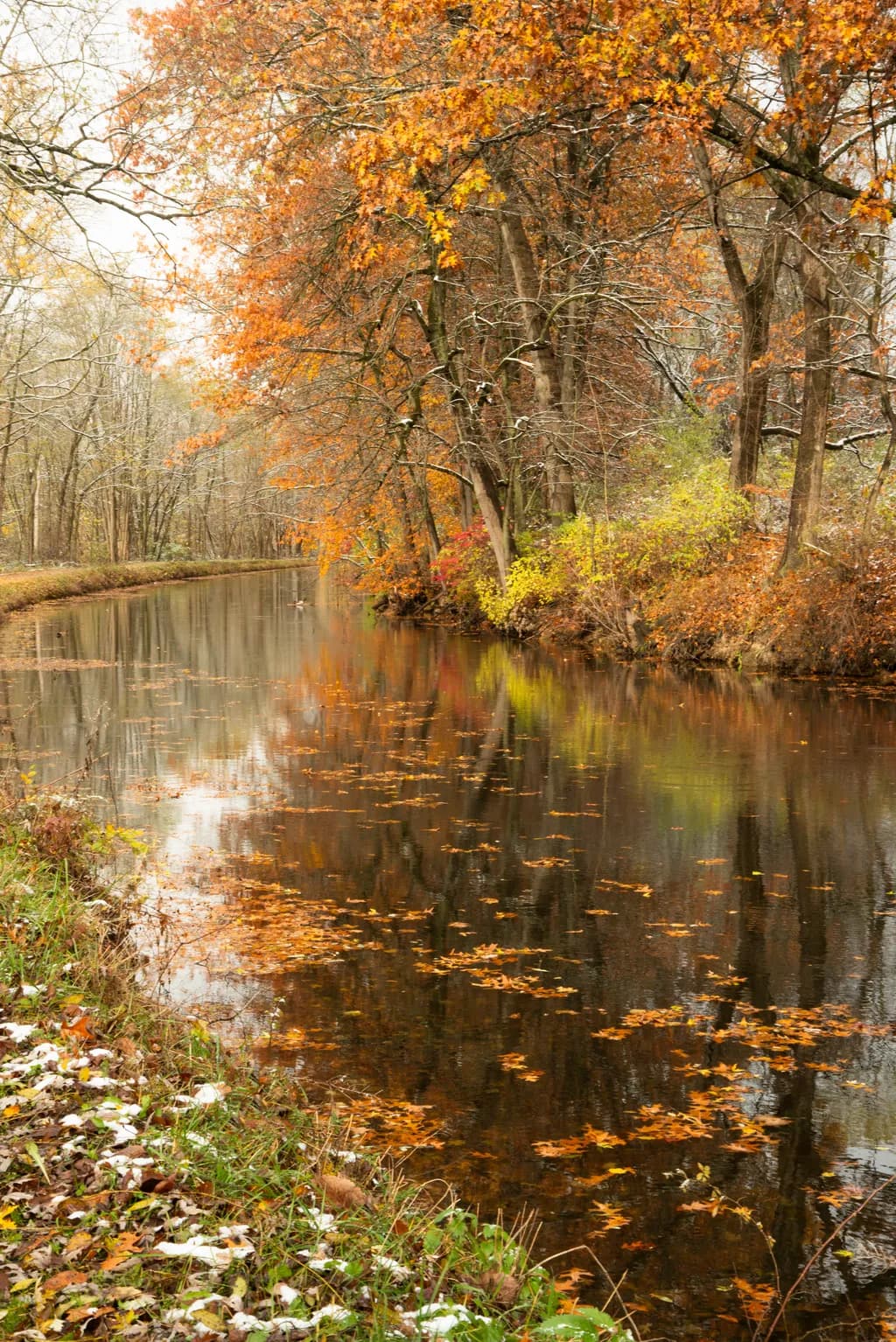 Autumn Reflections
