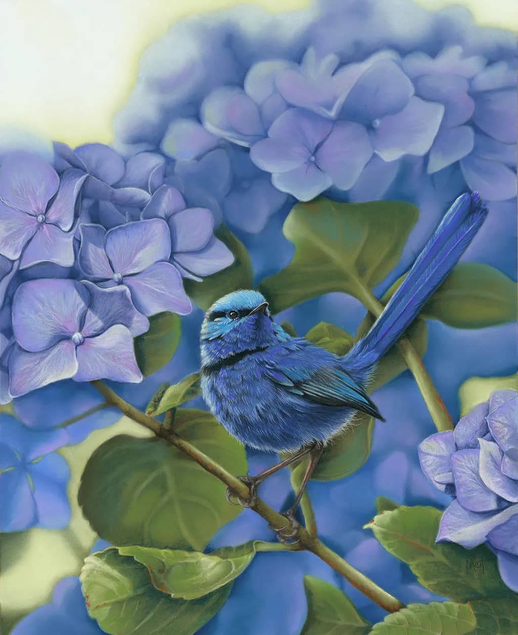 Whispers of Blue: A Vibrant Bird Amidst Blossoming Hydrangeas