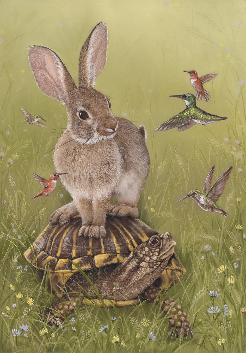 Cottontail Capers