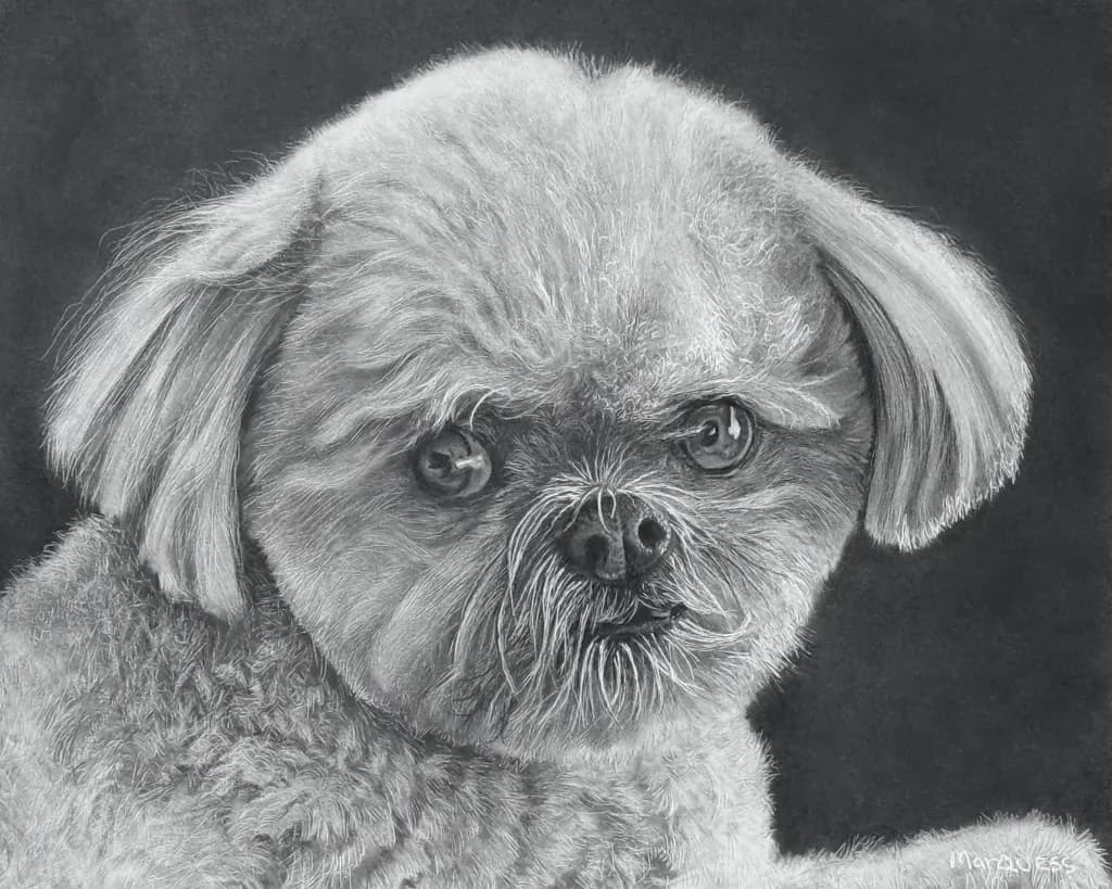 Apple Shichon Portrait
