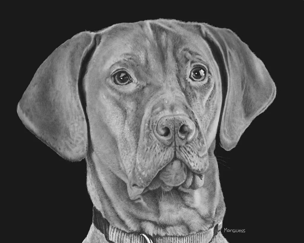 Bourbon Portrait