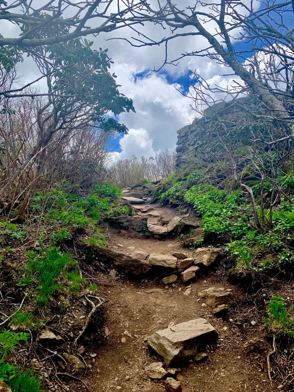 Rocky Pathway